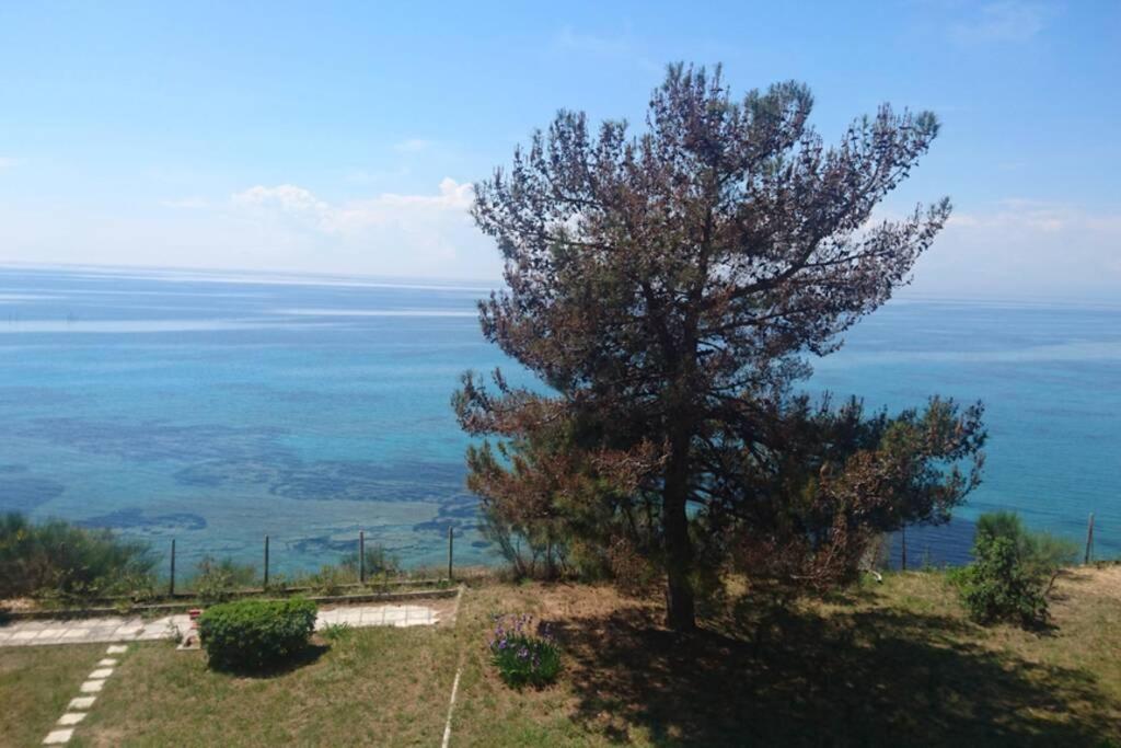 شقة Sunshine House Offering Spectacular Views To Olymp A نيا إيراكليا المظهر الخارجي الصورة
