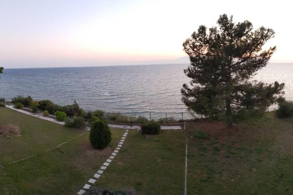 شقة Sunshine House Offering Spectacular Views To Olymp A نيا إيراكليا المظهر الخارجي الصورة