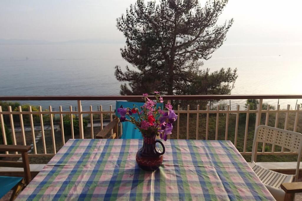 شقة Sunshine House Offering Spectacular Views To Olymp A نيا إيراكليا المظهر الخارجي الصورة